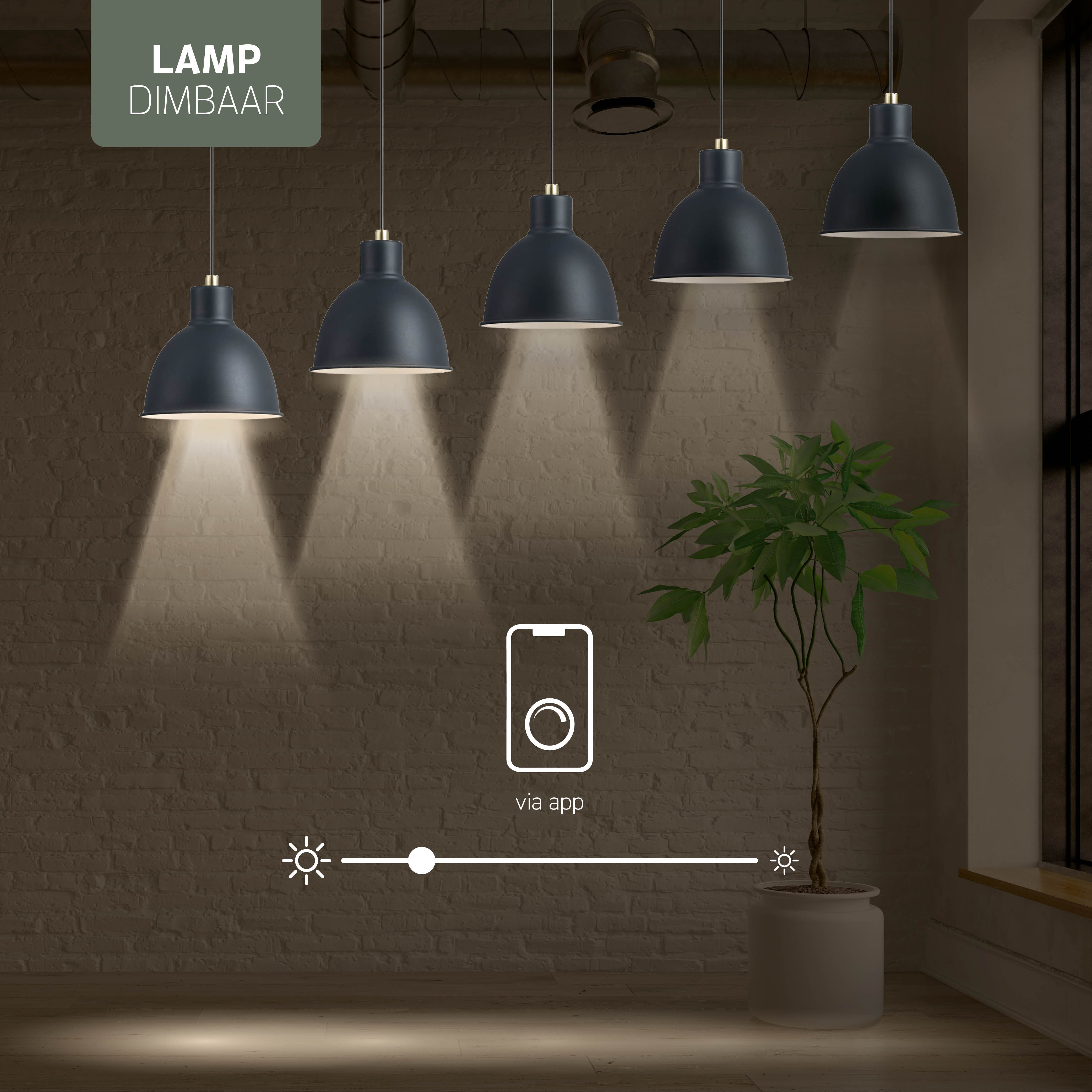 Varin Smart Wifi LED Filament Lamp E27 - 5W - G45 - Extra warm wit - 1800-2700K (CCT) - Tuya