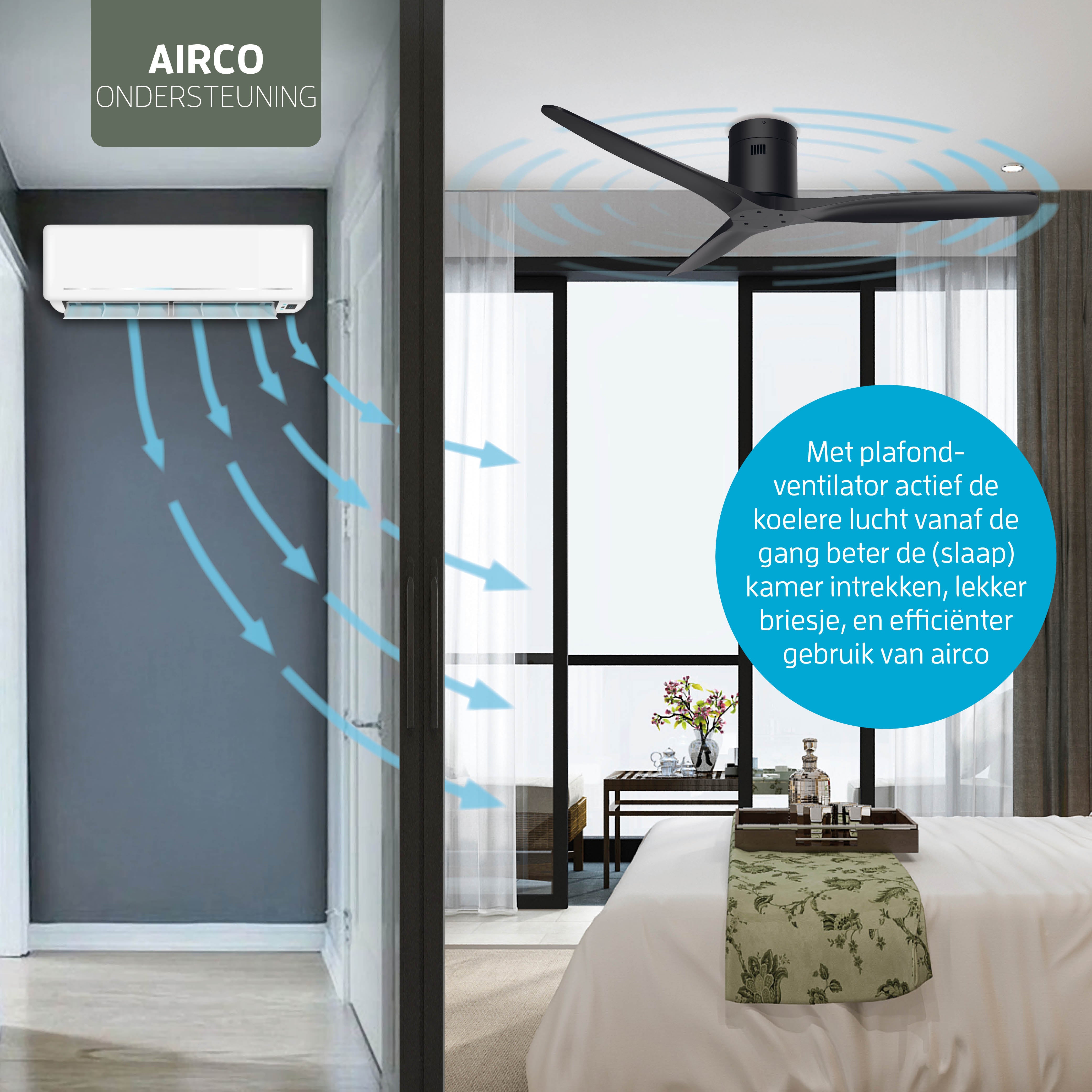 Smart Plafondventilator - Zwart/zwart - 132cm - WiFi